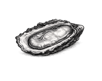 Oysters